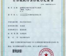 軟件著作權申請全攻略 自主辦理與專業代理詳解