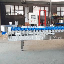 拉缸鹽海參重量分級機(jī) 料盒式自動重量揀選機(jī) 廠家直銷